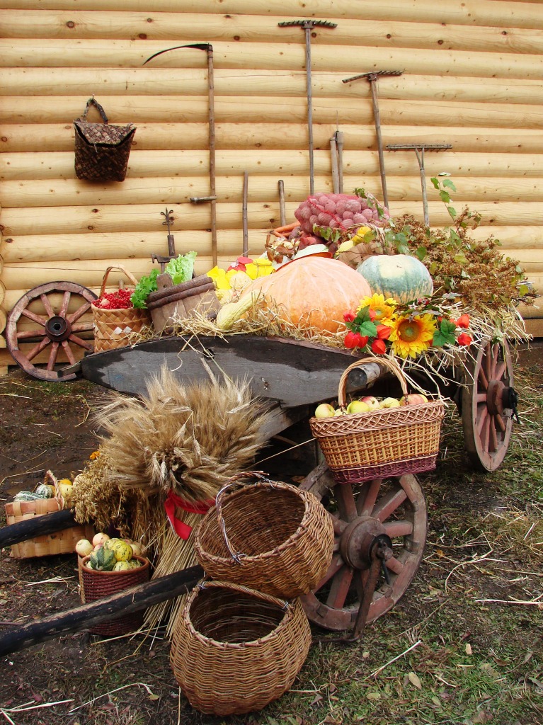 Harvest jigsaw puzzle in Fruits & Veggies puzzles on TheJigsawPuzzles.com