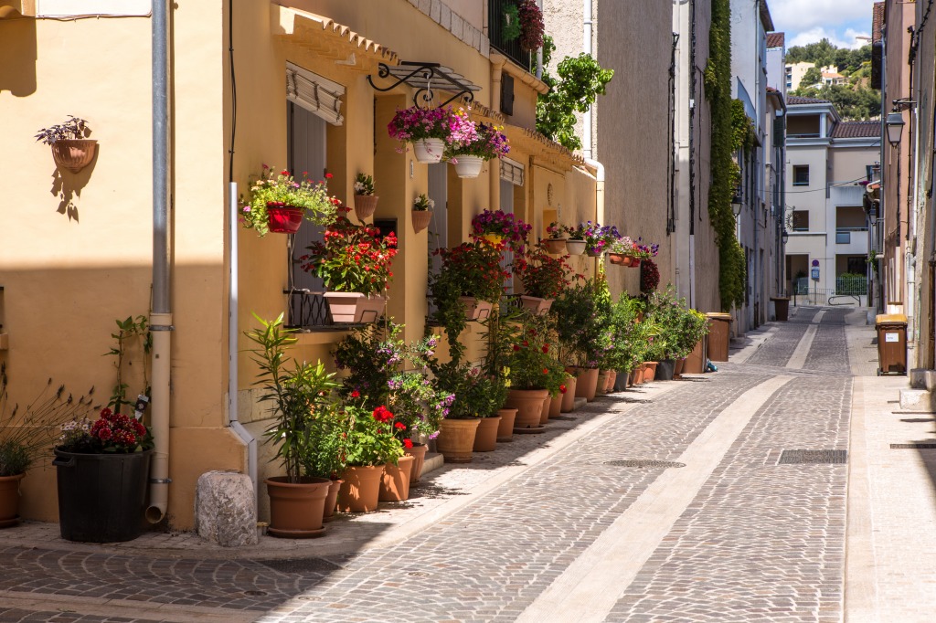 Street in Cassis, France jigsaw puzzle in Flowers puzzles on TheJigsawPuzzles.com