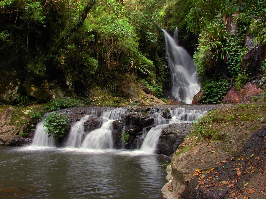 Elabana Falls, Australian Rainforest jigsaw puzzle in Waterfalls puzzles on TheJigsawPuzzles.com