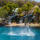 Sea World Show, Surfers Paradise, Australia