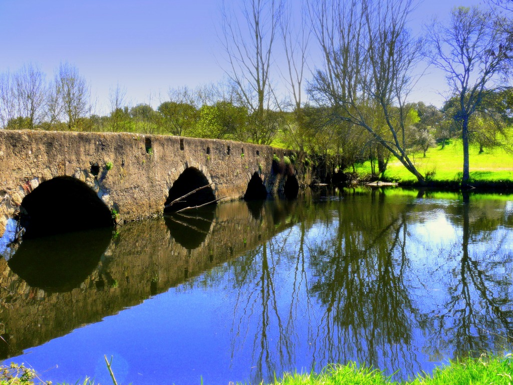 Ponte Velha do Prado, Portugal jigsaw puzzle in Bridges puzzles on TheJigsawPuzzles.com