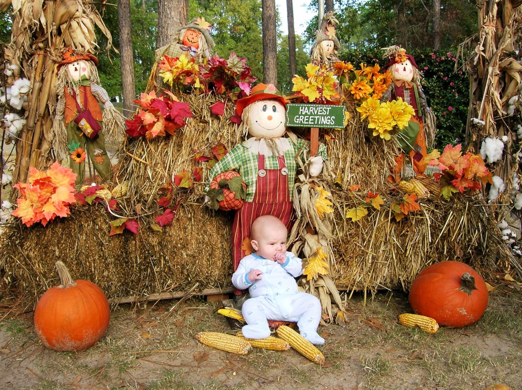 Harvest Boy jigsaw puzzle in People puzzles on TheJigsawPuzzles.com