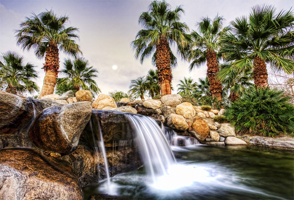Palm Springs Waterfall jigsaw puzzle in Waterfalls puzzles on TheJigsawPuzzles.com