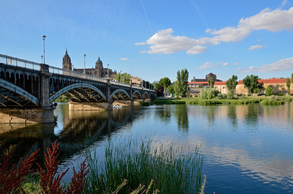 Old Quarter of Salamanca, Spain jigsaw puzzle in Bridges puzzles on TheJigsawPuzzles.com