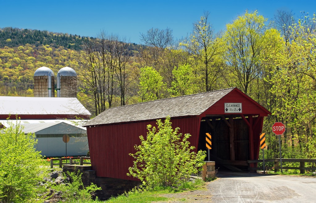 Logan Mills Covered Bridge, Pennsylvania jigsaw puzzle in Puzzle of the Day puzzles on TheJigsawPuzzles.com