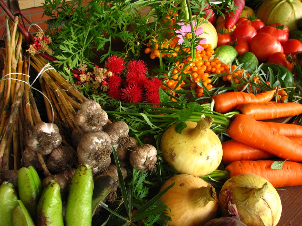 Ecologically Grown Vegetables jigsaw puzzle in Puzzle of the Day puzzles on TheJigsawPuzzles.com