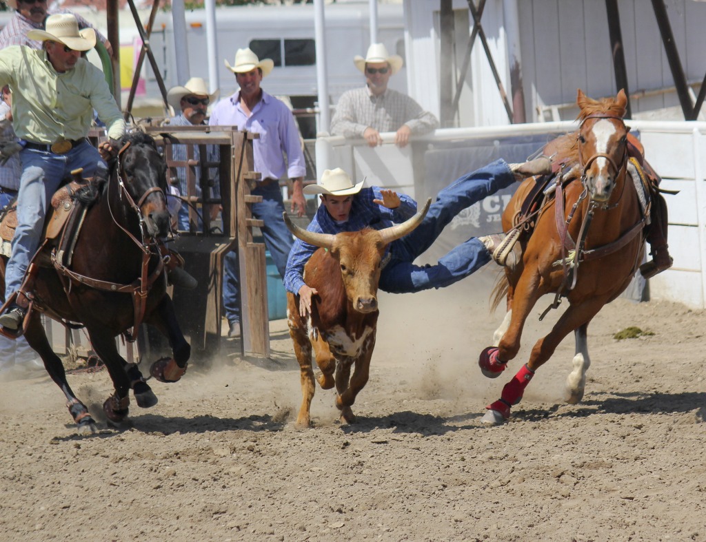Steer Wrestling jigsaw puzzle in People puzzles on TheJigsawPuzzles.com