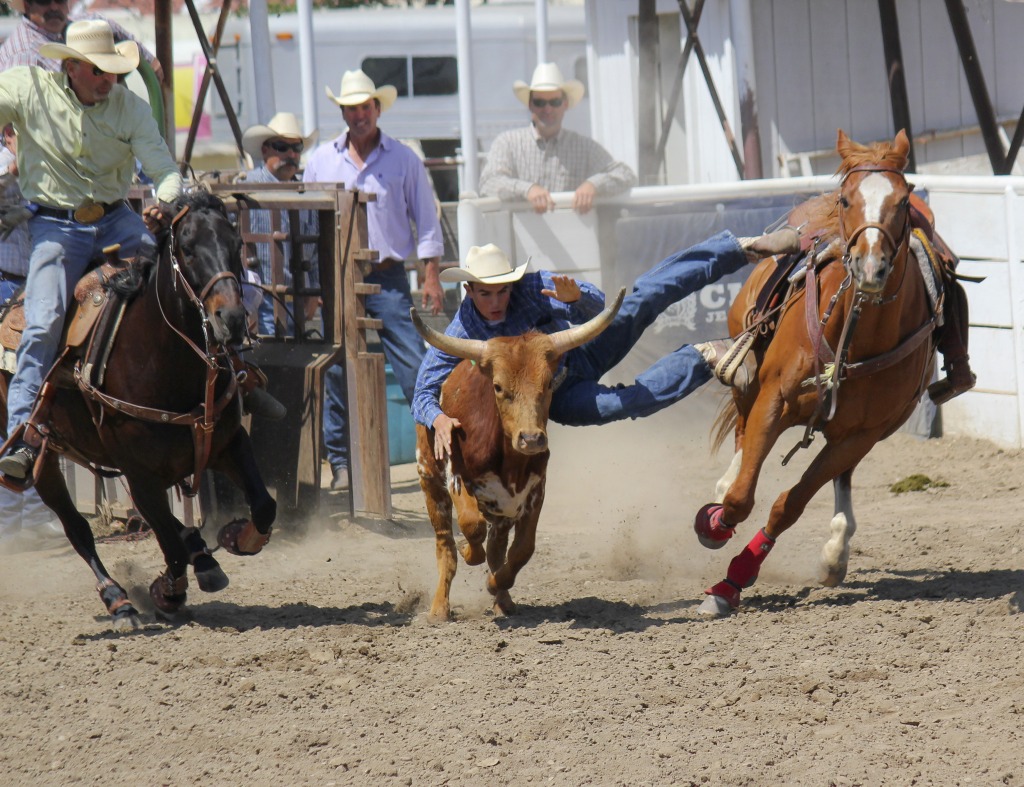 Steer Wrestling jigsaw puzzle in People puzzles on TheJigsawPuzzles.com
