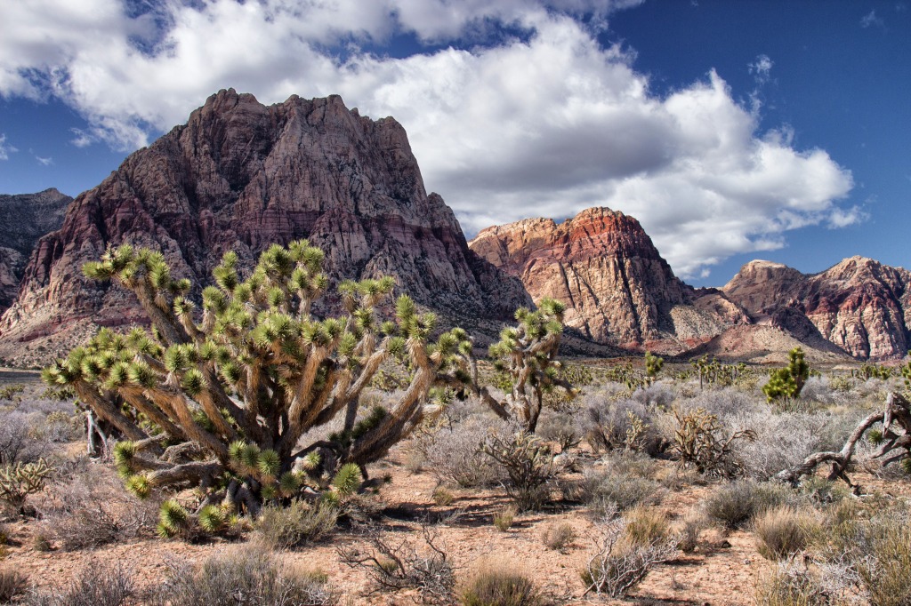 Spring Mountain Ranch State Park jigsaw puzzle in Great Sightings puzzles on TheJigsawPuzzles.com