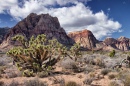 Spring Mountain Ranch State Park