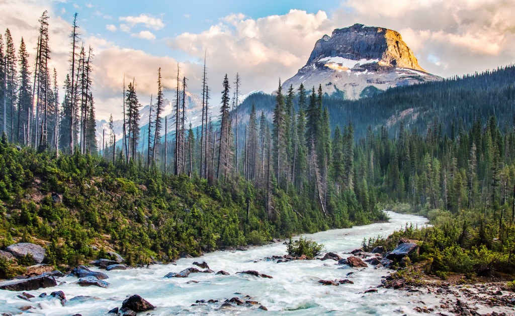 Rocky Peak, Yoho National Park jigsaw puzzle in Great Sightings puzzles on TheJigsawPuzzles.com