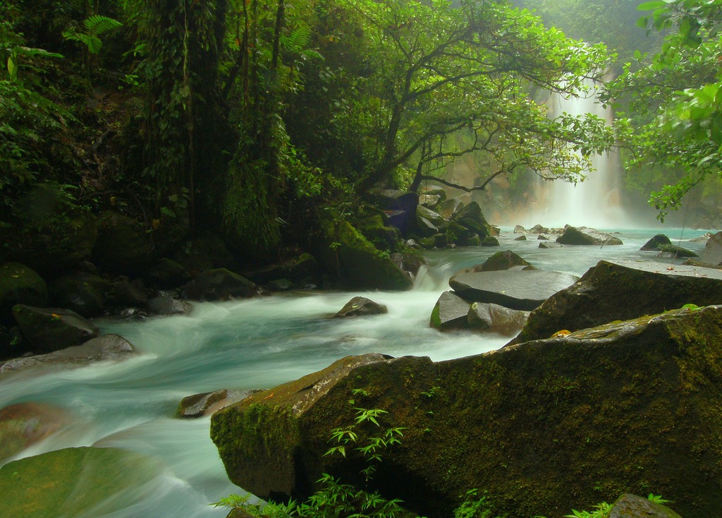 Rio Celeste Falls, Costa Rica jigsaw puzzle in Waterfalls puzzles on TheJigsawPuzzles.com