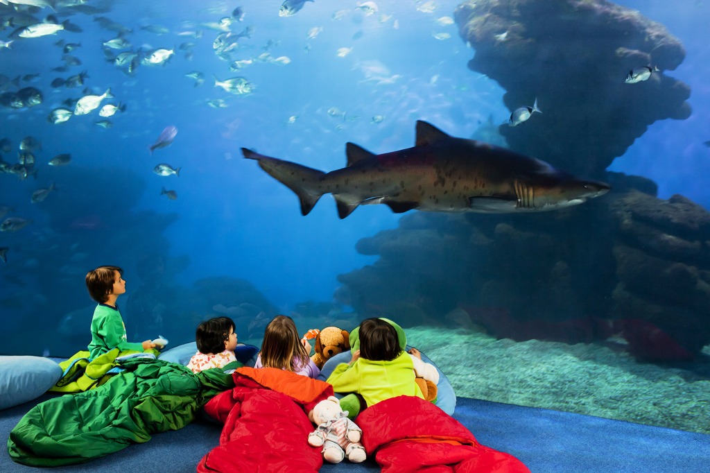 Palma de Mallorca Aquarium, Spain jigsaw puzzle in Under the Sea puzzles on TheJigsawPuzzles.com