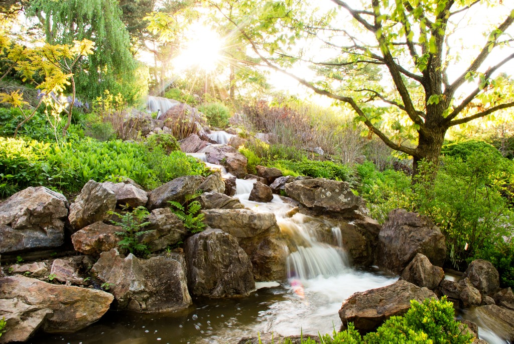 Chicago Botanic Garden jigsaw puzzle in Waterfalls puzzles on TheJigsawPuzzles.com