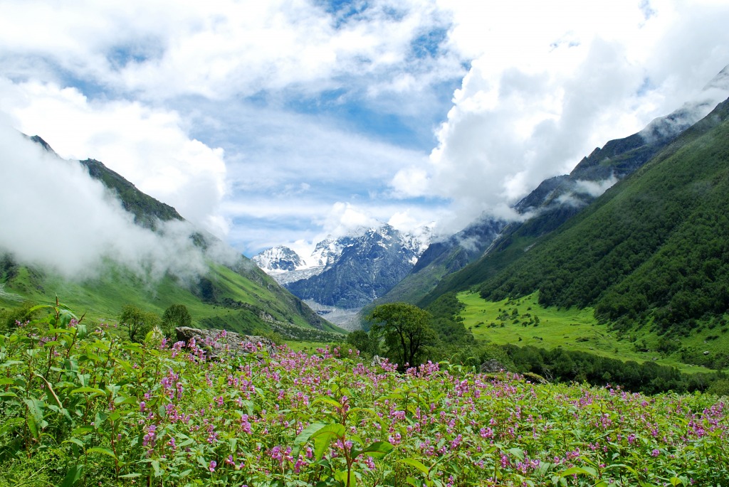 Alpine Meadows in the Himalayas jigsaw puzzle in Great Sightings puzzles on TheJigsawPuzzles.com