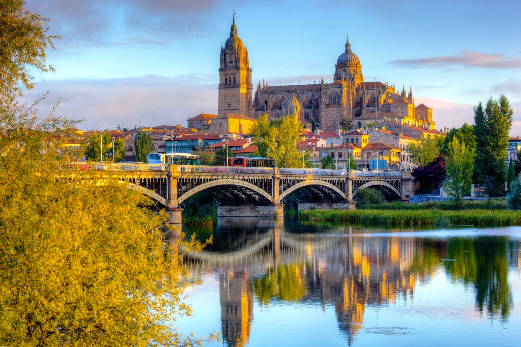 Salamanca Cathedral, Spain jigsaw puzzle in Bridges puzzles on TheJigsawPuzzles.com