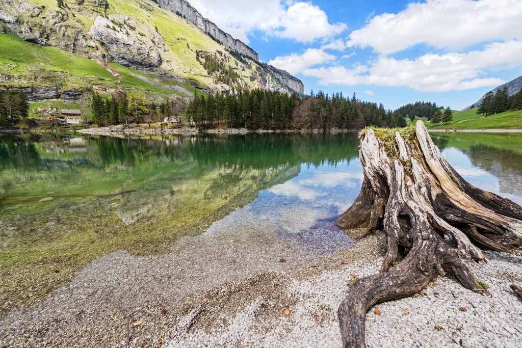 Seealpsee Landscape, Switzerland jigsaw puzzle in Great Sightings puzzles on TheJigsawPuzzles.com