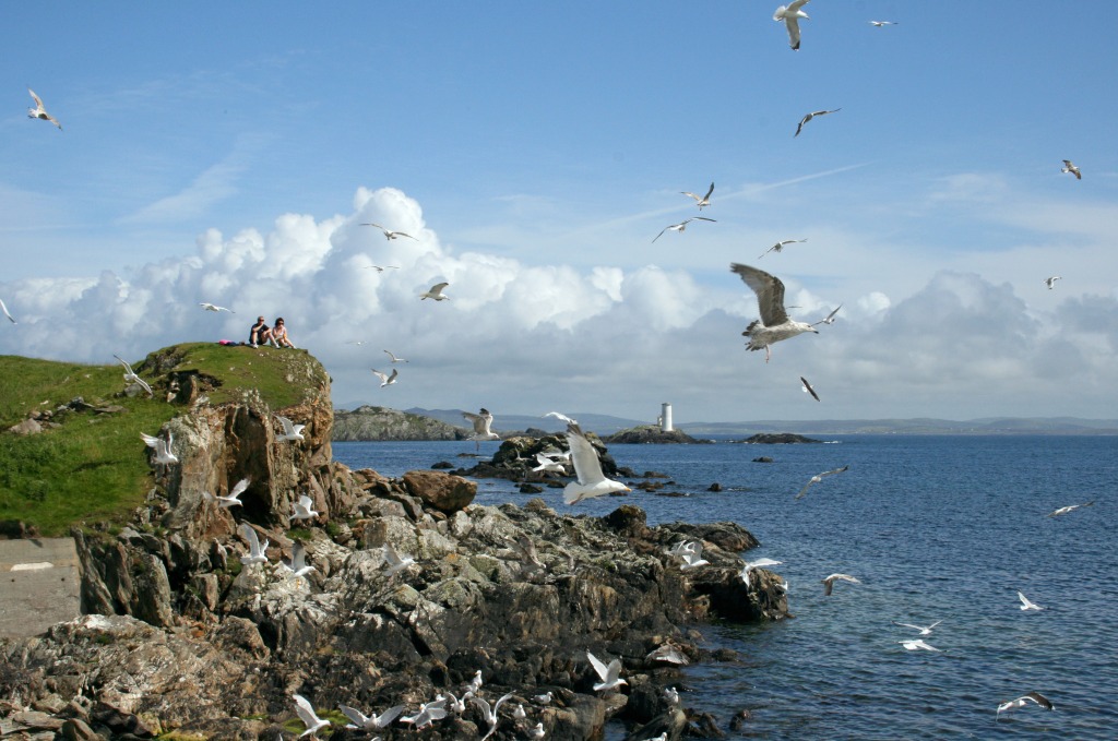 Inishbofin, Ireland jigsaw puzzle in Great Sightings puzzles on TheJigsawPuzzles.com