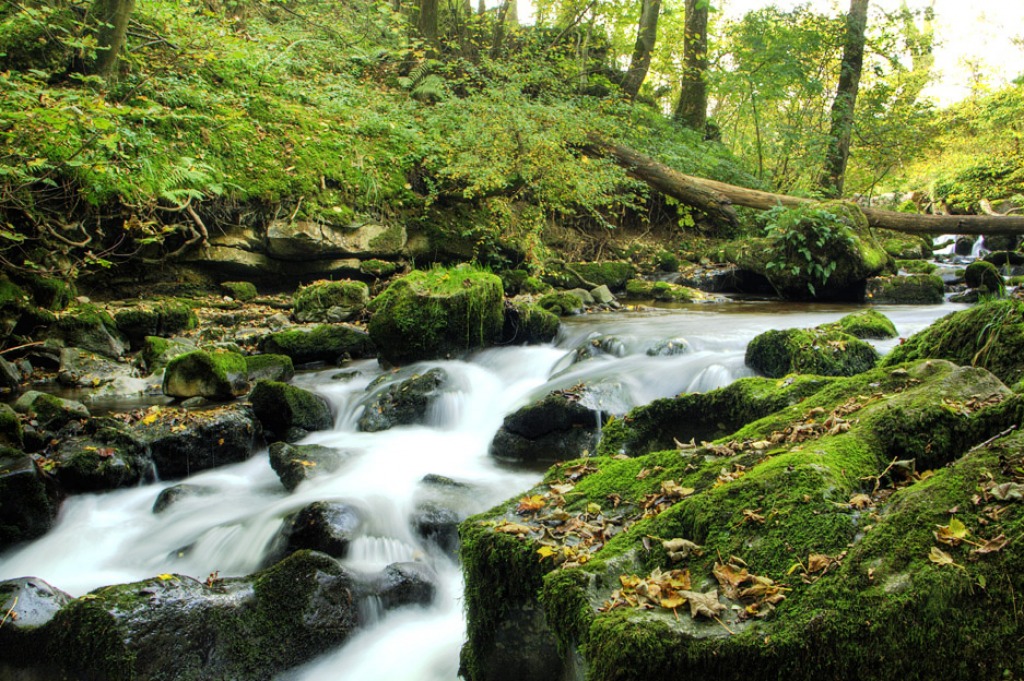 Caldbeck Waterfalls, Cumbria, UK jigsaw puzzle in Waterfalls puzzles on TheJigsawPuzzles.com