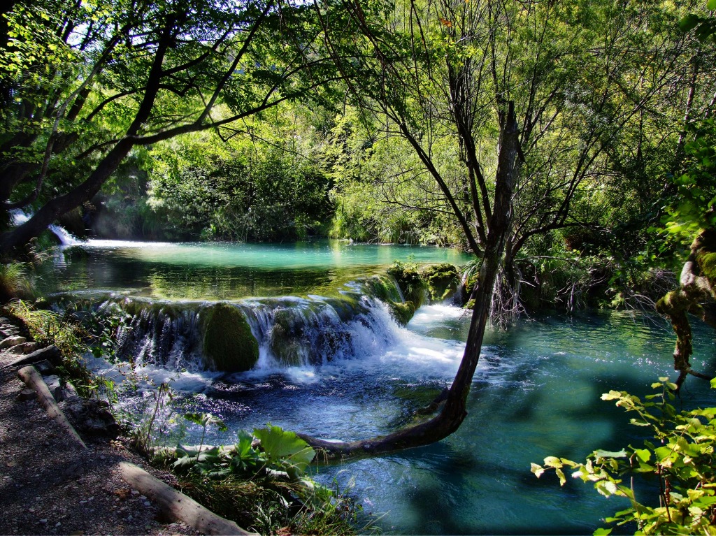 Plitvice Lakes National Park, Croatia jigsaw puzzle in Waterfalls puzzles on TheJigsawPuzzles.com