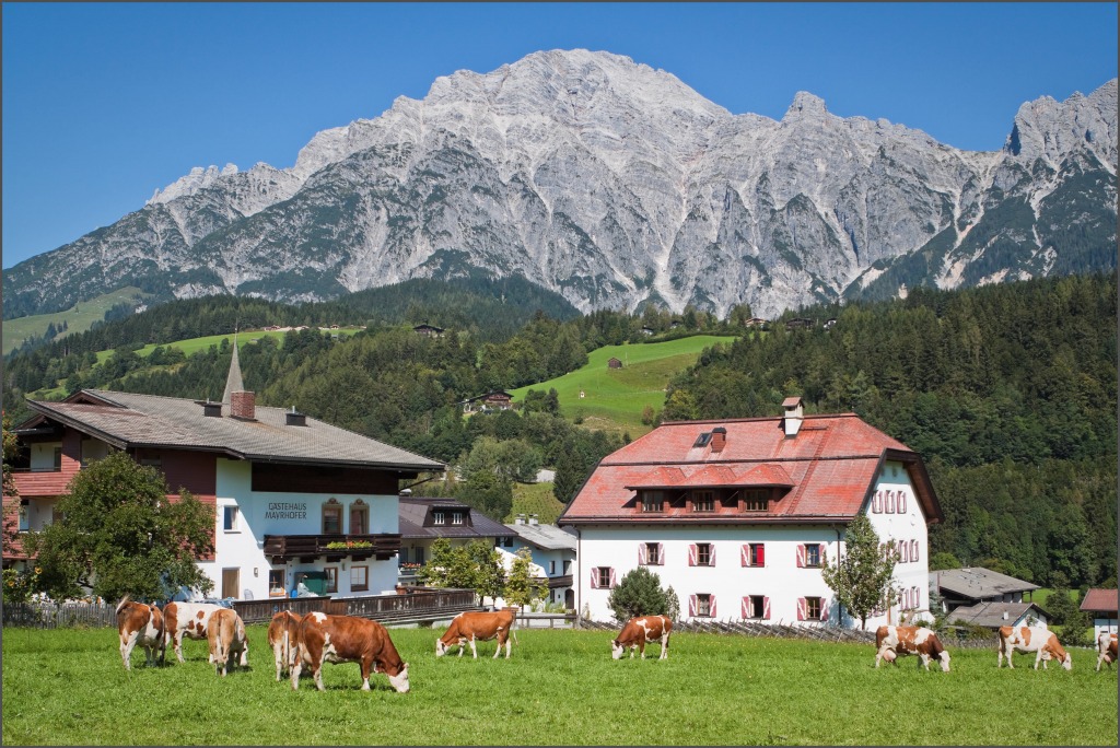 Near Salzberg, Austria jigsaw puzzle in Great Sightings puzzles on TheJigsawPuzzles.com