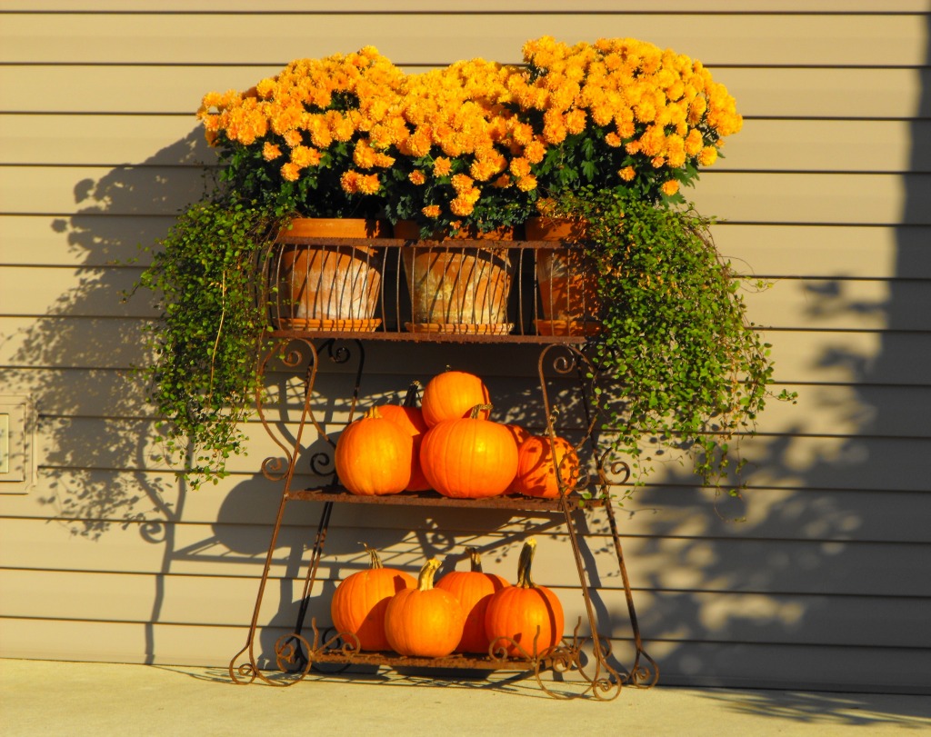 Pumpkin Porch jigsaw puzzle in Fruits & Veggies puzzles on TheJigsawPuzzles.com