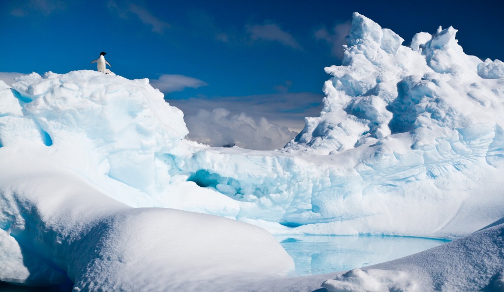 Antarctica jigsaw puzzle in Great Sightings puzzles on TheJigsawPuzzles.com