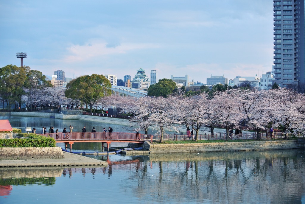 Okawa River, Osaka, Japan jigsaw puzzle in Bridges puzzles on TheJigsawPuzzles.com