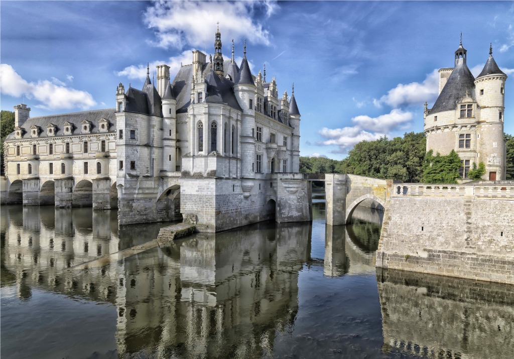 Chateau de Chenonceau, Loire Valley, France jigsaw puzzle in Castles puzzles on TheJigsawPuzzles.com