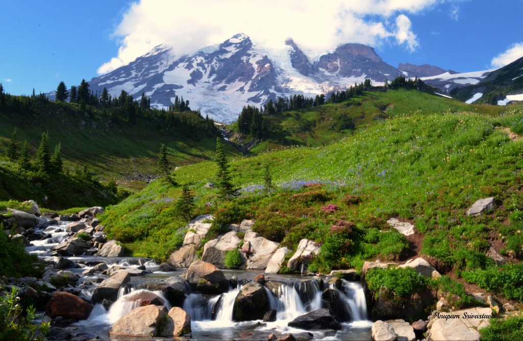 Mount Rainier jigsaw puzzle in Waterfalls puzzles on TheJigsawPuzzles.com