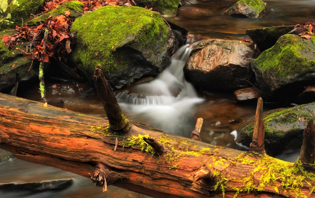 Slateford Creek, Delaware Water Gap jigsaw puzzle in Waterfalls puzzles on TheJigsawPuzzles.com