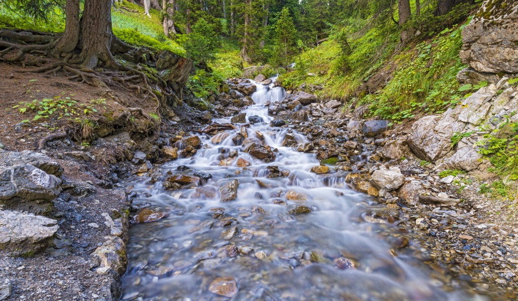 The River in Arosa, Switzlerland jigsaw puzzle in Waterfalls puzzles on TheJigsawPuzzles.com