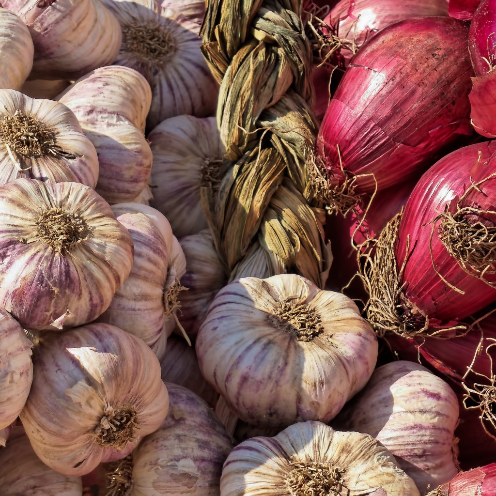 Onions at the Saint-Aygulf Market jigsaw puzzle in Fruits & Veggies puzzles on TheJigsawPuzzles.com