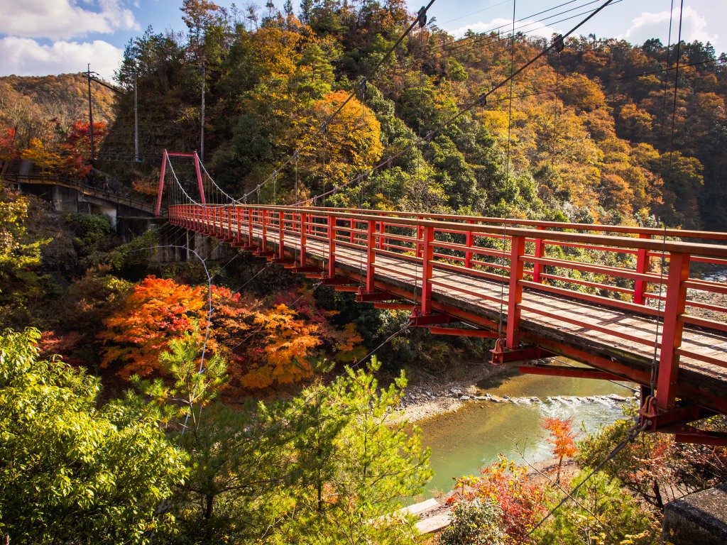 Autumn Leaves jigsaw puzzle in Bridges puzzles on TheJigsawPuzzles.com