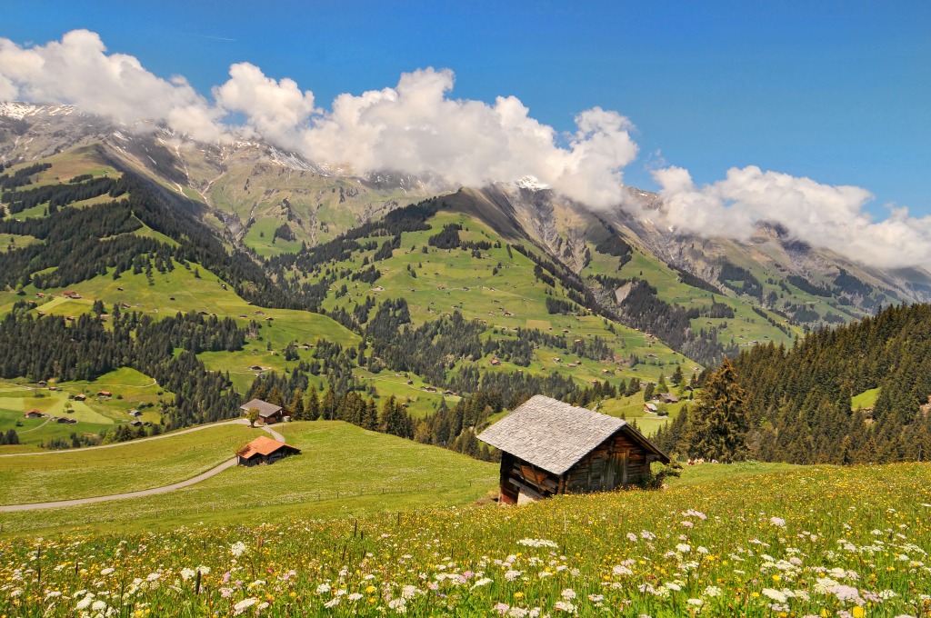 Berner Oberland in Summer jigsaw puzzle in Great Sightings puzzles on TheJigsawPuzzles.com