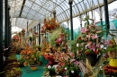 Lalbagh Flower Show