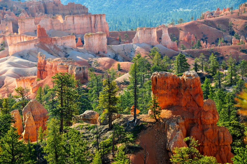 Sunrise Point, Bryce Canyon National Park jigsaw puzzle in Great Sightings puzzles on TheJigsawPuzzles.com