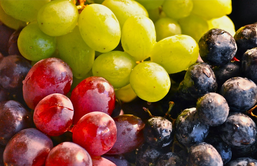 Grapes jigsaw puzzle in Fruits & Veggies puzzles on TheJigsawPuzzles.com