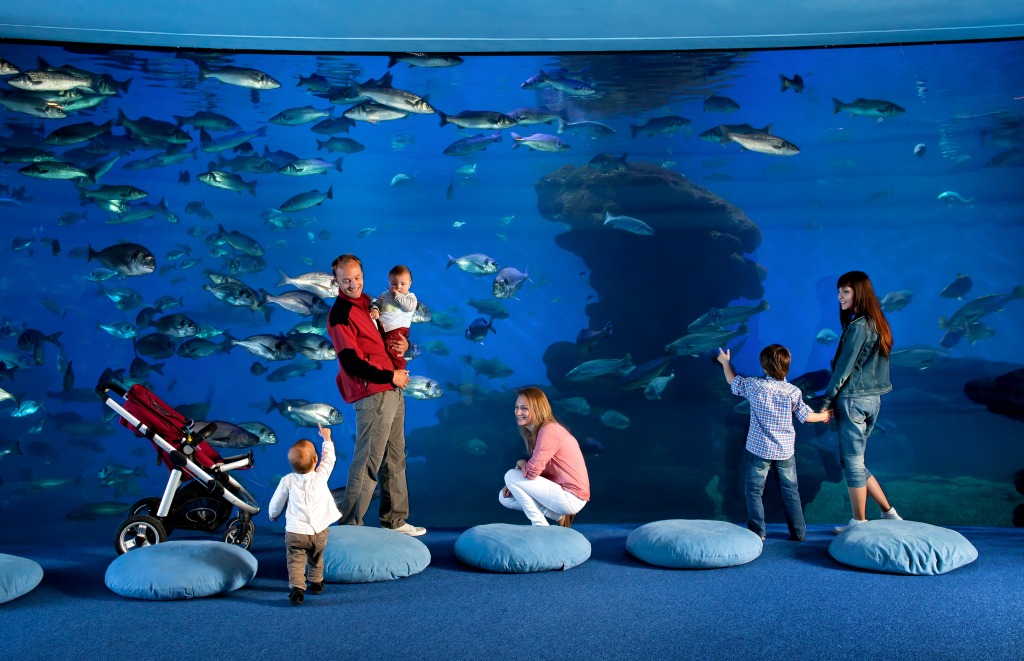 Palma Aquarium, Mallorca, Spain jigsaw puzzle in Under the Sea puzzles on TheJigsawPuzzles.com