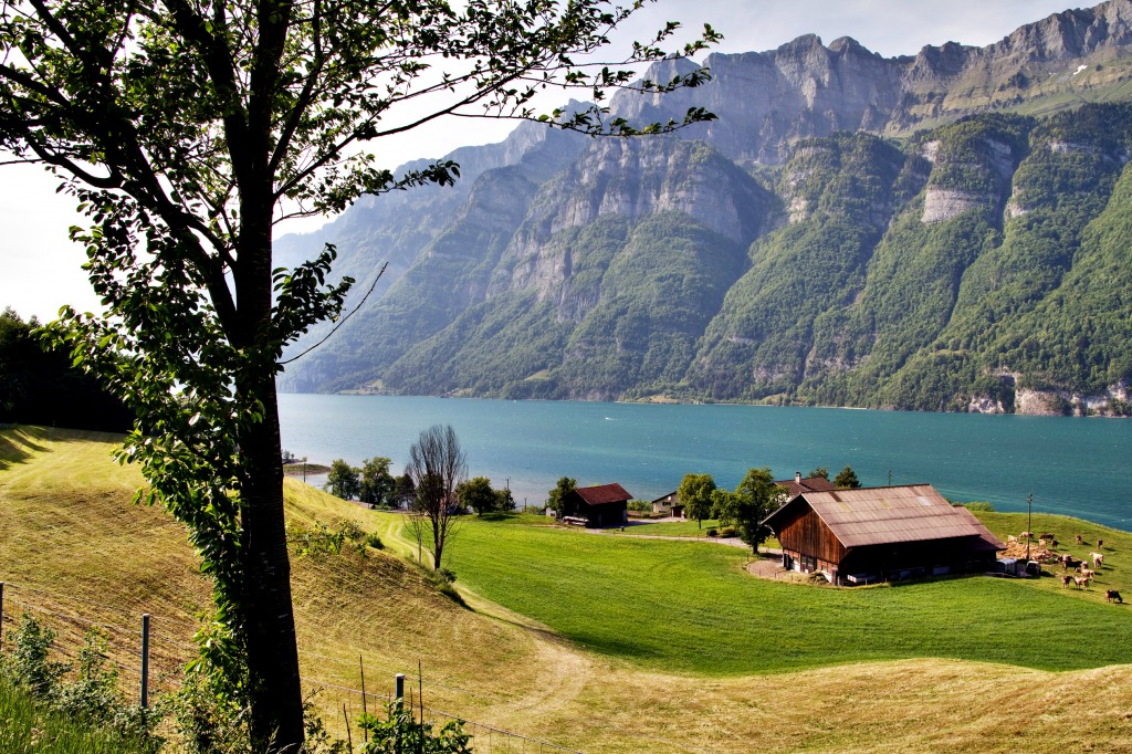 Farm in Swiss Alps jigsaw puzzle in Great Sightings puzzles on TheJigsawPuzzles.com