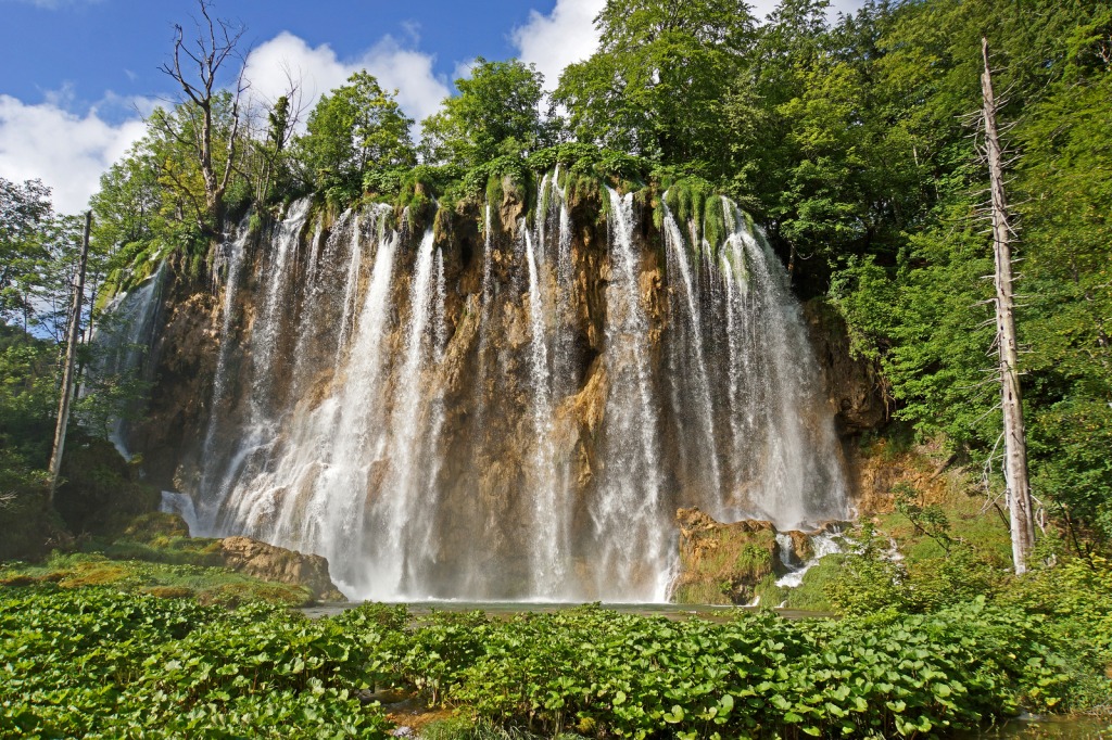 Plitvice Lakes National Park, Croatia jigsaw puzzle in Waterfalls puzzles on TheJigsawPuzzles.com