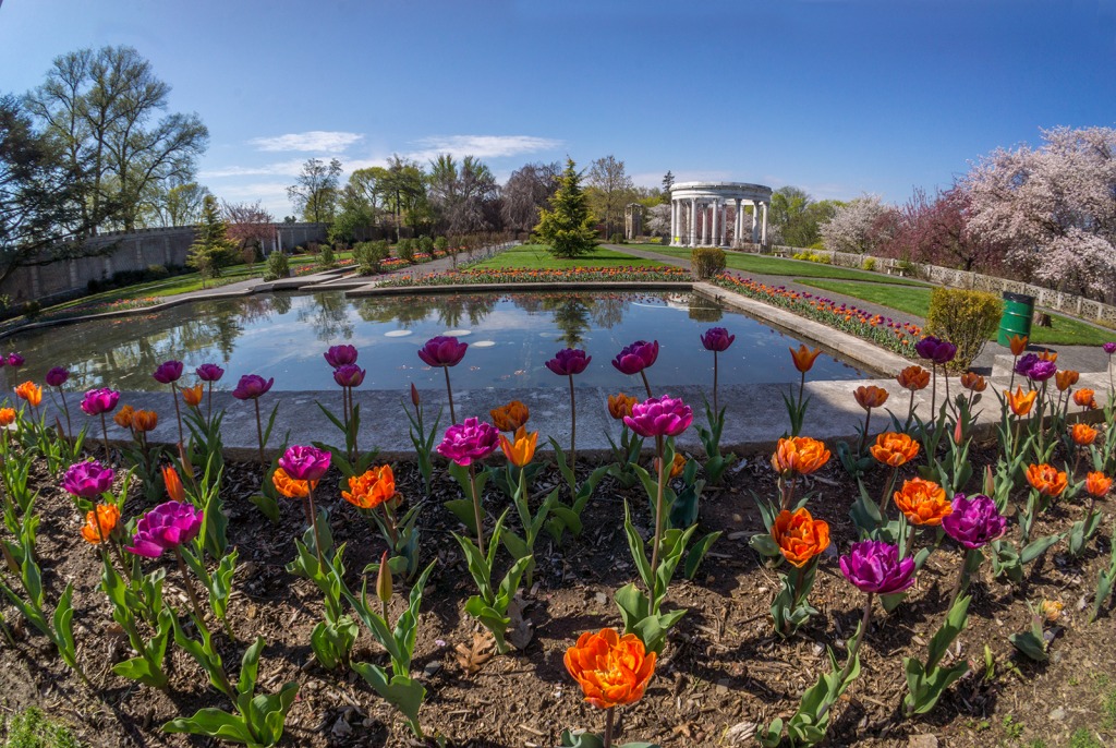 Garden Pool jigsaw puzzle in Flowers puzzles on TheJigsawPuzzles.com