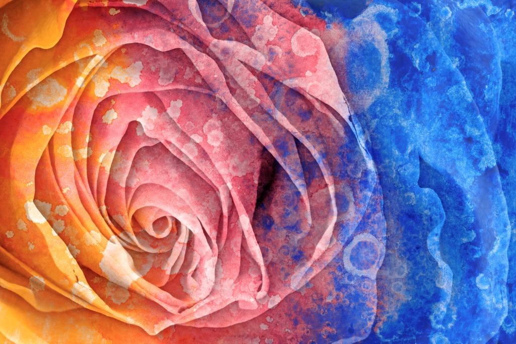 Acrylic Rose jigsaw puzzle in Puzzle of the Day puzzles on TheJigsawPuzzles.com