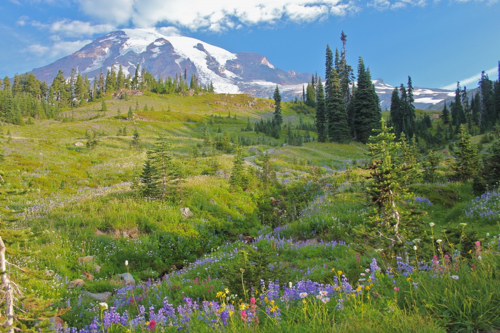 Mount Rainier, Skyline Trail jigsaw puzzle in Great Sightings puzzles on TheJigsawPuzzles.com