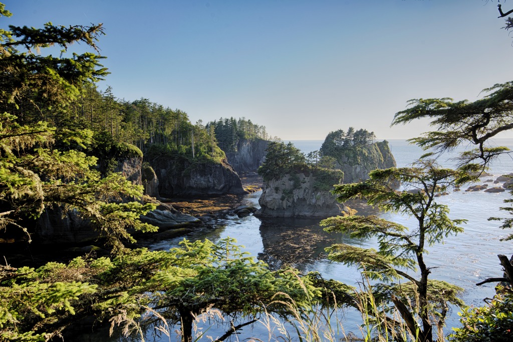 Cape Flattery, Washington jigsaw puzzle in Great Sightings puzzles on TheJigsawPuzzles.com