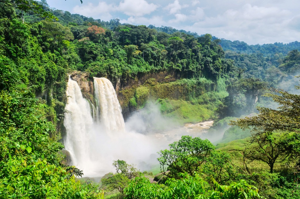 Ekom-Nkam Waterfall, Cameroon jigsaw puzzle in Waterfalls puzzles on TheJigsawPuzzles.com