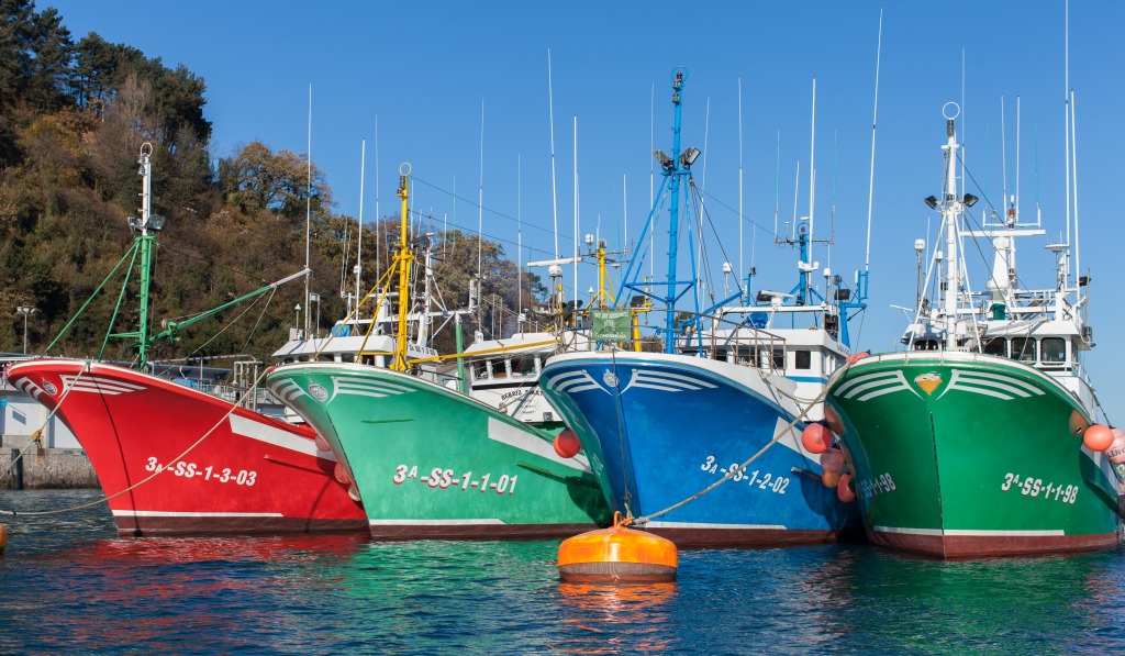 Boats in Fontarabie Harbor, Spain jigsaw puzzle in Puzzle of the Day puzzles on TheJigsawPuzzles.com