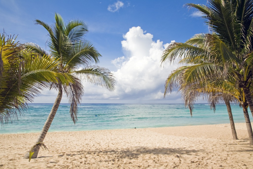 Beach Palm Trees, Riviera Maya jigsaw puzzle in Great Sightings puzzles on TheJigsawPuzzles.com