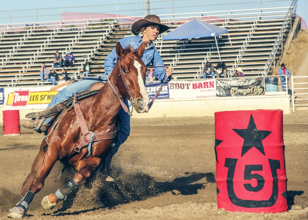 Rodeo jigsaw puzzle in People puzzles on TheJigsawPuzzles.com