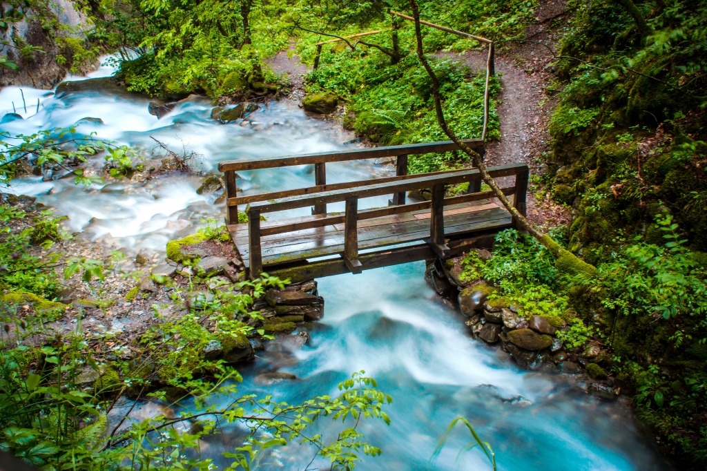 Magical Forest in Rostuse, Macedonia jigsaw puzzle in Bridges puzzles on TheJigsawPuzzles.com